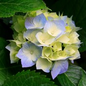 Angel198625 profile image