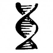 DNA Painting profile image