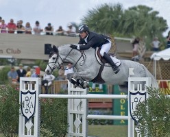 Wellington, Florida: Strawberries, Horses and New Jobs