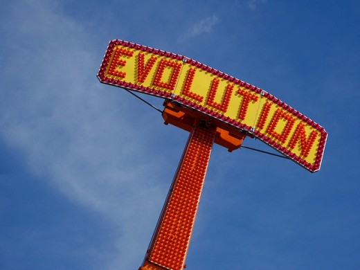 User Experience as an Evolving Discipline