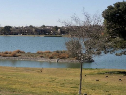 Lake in the middle of Fountain Hills