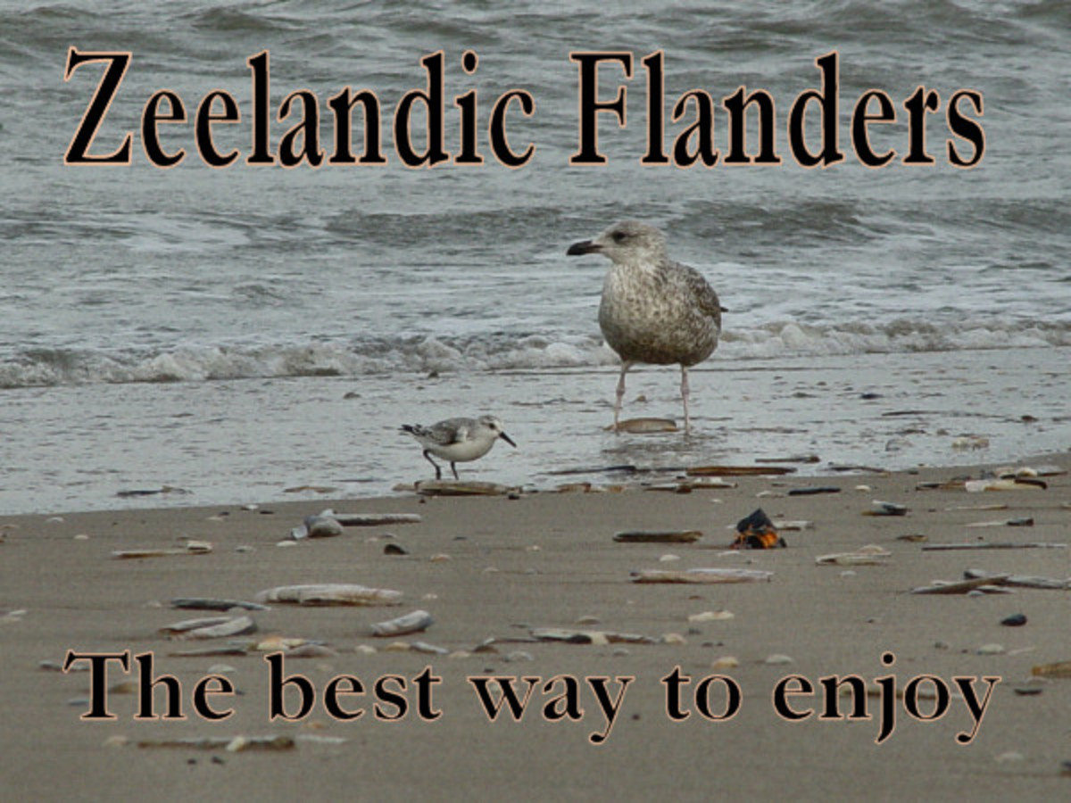Zeelandic Flanders - Zeeuws-Vlaanderen