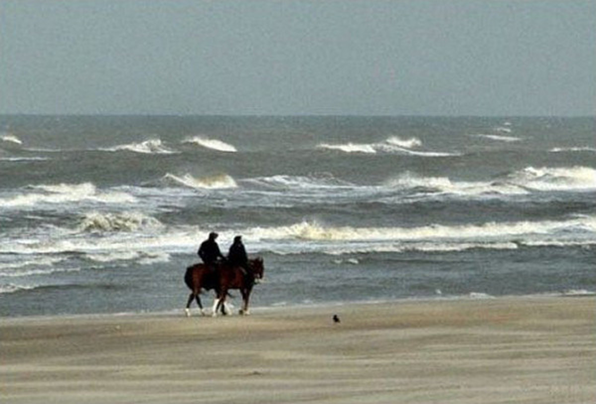 horseback riding at the beach