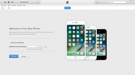 Click "Continue" to arrive at a Welcome to Your New iPhone screen.