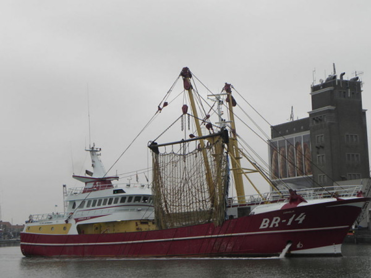 Fishing boat Breskens 14 (BR-14)