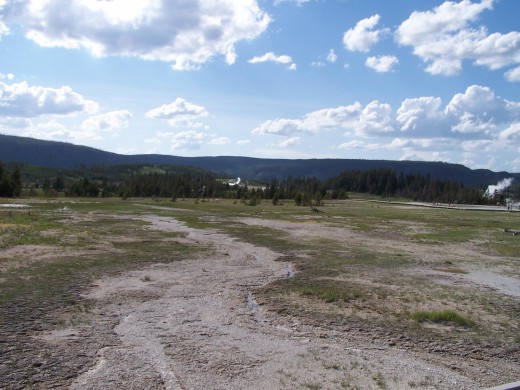 Don't drink the water