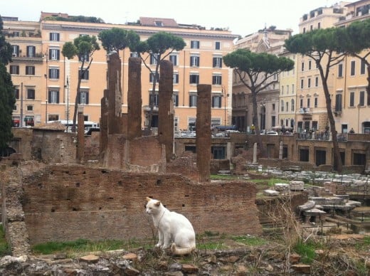 Largo di Torre Argentina