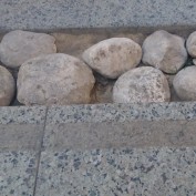 DoodaYoussef profile image