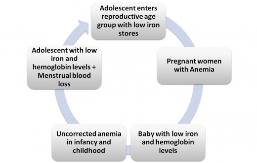 Cycle of anemia:Intergenerational