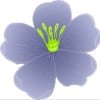 mydana profile image