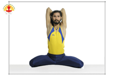 Uttanmanduka-asana pose
