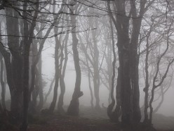 Mistaken Hauntings: Is It a Ghost or a Fairy?