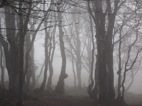 Mistaken Hauntings: Is It a Ghost or a Fairy? Mistaken Hauntings: Is It a Ghost or a Fairy?