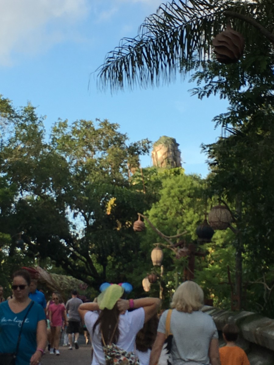 As we walked over the bridge from the Oasis this was the first view of Pandora. At this point I could hear the music and the smell changed.