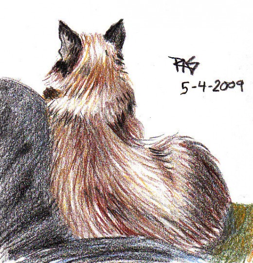 A purr is complete social acceptance -- animals are wonderful emotional support.