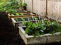 Advantages of Raised Bed Gardening