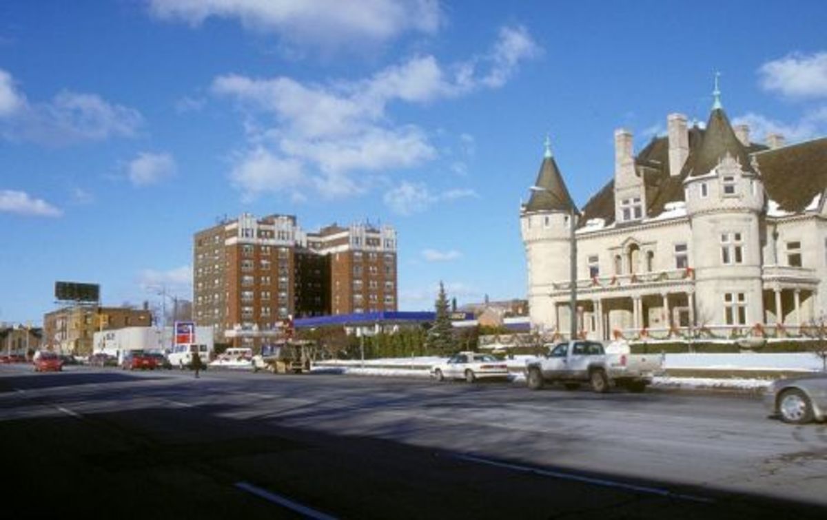Historic Woodward Avenue, business and attractions.
