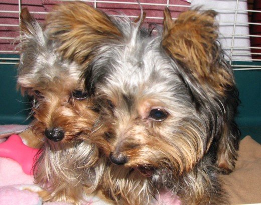 The sister and brother...