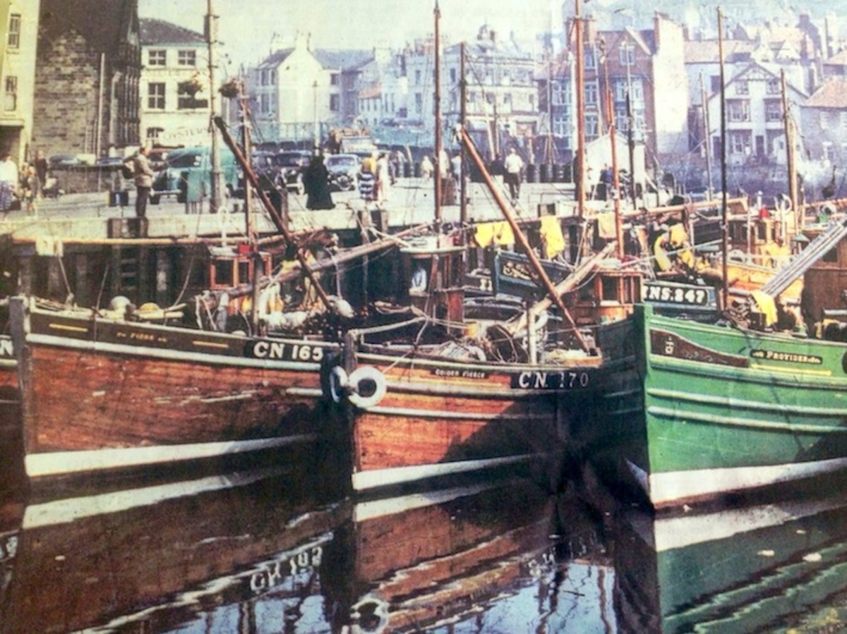 Whitby fishing fleet in the 1950s. Fish & Chips was not yet a weekly treat. Being fairly cheap, it was a Friday night binge every week! (Ever heard of the phrase "Cheap as chips?")