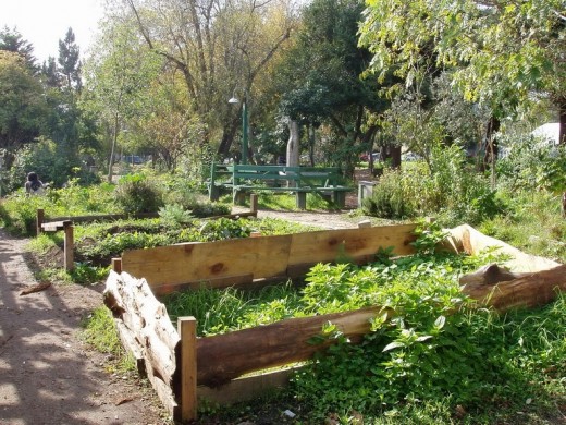 Community gardens inside People's Park