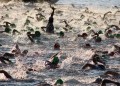 forerunner 645 open water swimming