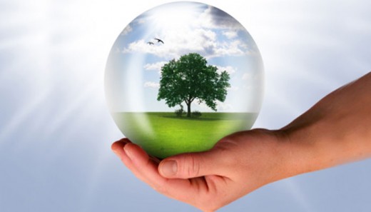 Care for the environment, properly dispose batteries.