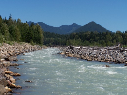 Braving swift rivers
