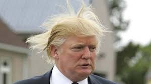 The Glorious Hair of Donald Trump