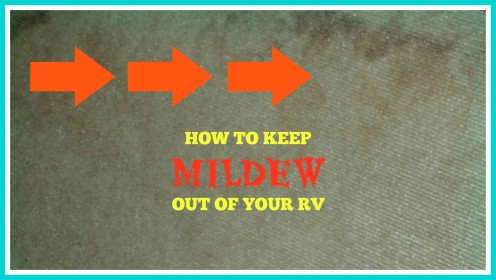 How to Keep Mildew Out of Your RV How to Keep Mildew Out of Your RV