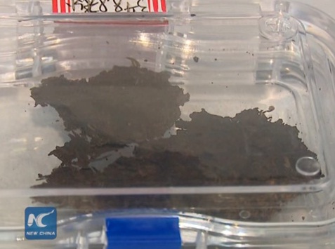 The world oldest tea leaves