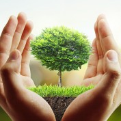 Tree Care GA profile image