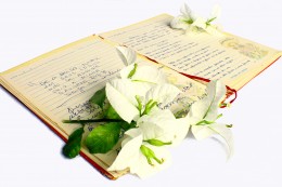 https://usercontent2.hubstatic.com/13643103_f260.jpg