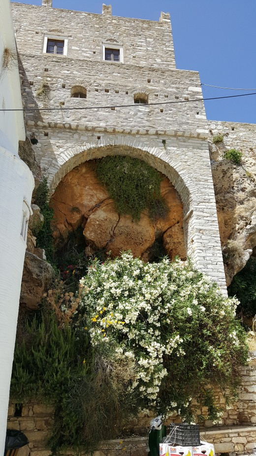 Koronidia