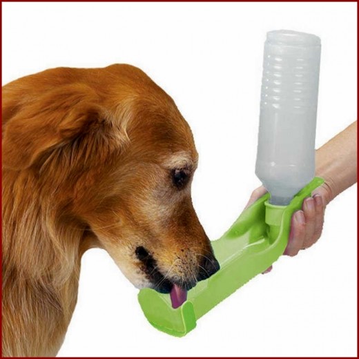 How to Choose the Best Dog Water Dispenser PetHelpful