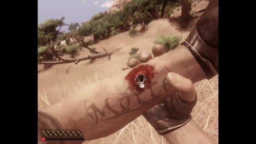 Far Cry 2 (2008)