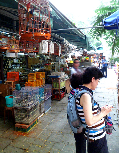 Songbird Market is popular with locals and visitors.