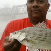 Clifford Bibbs profile image