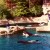 Orca whales Orca whales