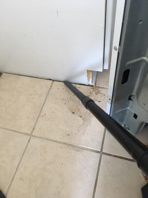 Vacuum and wash floor to remove food debris