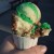Spumoni in a cone today: pistachio, chocolate, vanilla, and candied fruits. Spumoni in a cone today: pistachio, chocolate, vanilla, and candied fruits.