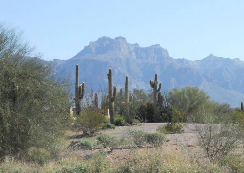 Death in the Arizona desert.