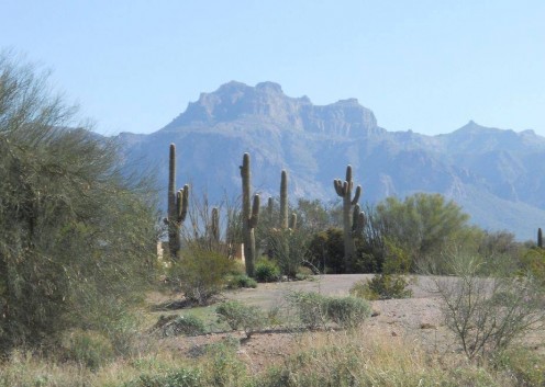 Death in the Arizona desert.