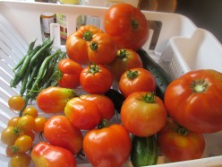 Harvest Time for Tomatoes and Zucchini  (What to do With The Bounty)
