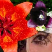 Cinntexx profile image