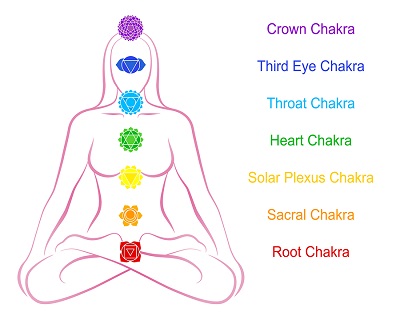The chakras start from the root up.