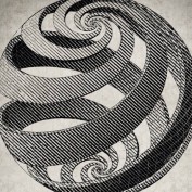 Seve Europa profile image