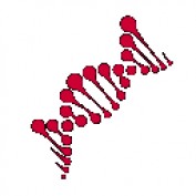 adrenalfatigueusa profile image