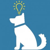 DogBright profile image