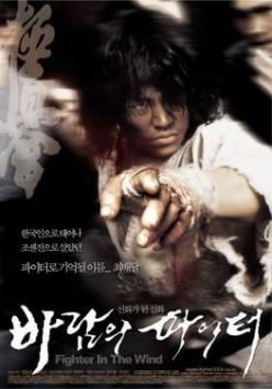 Fighter in the Wind (2008) Review