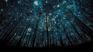 When I look up I see stars. When I take a sigh I feel scars.